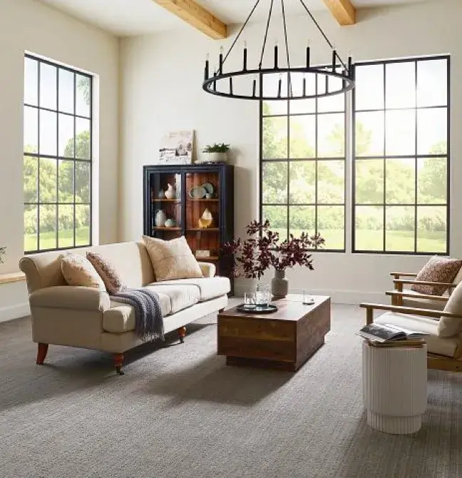 Living room carpet | Montgomery's CarpetsPlus COLORTILE