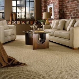 Living room Carpet flooring | Montgomery's CarpetsPlus COLORTILE