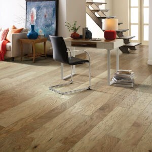 Hardwood flooring | Montgomery's CarpetsPlus COLORTILE