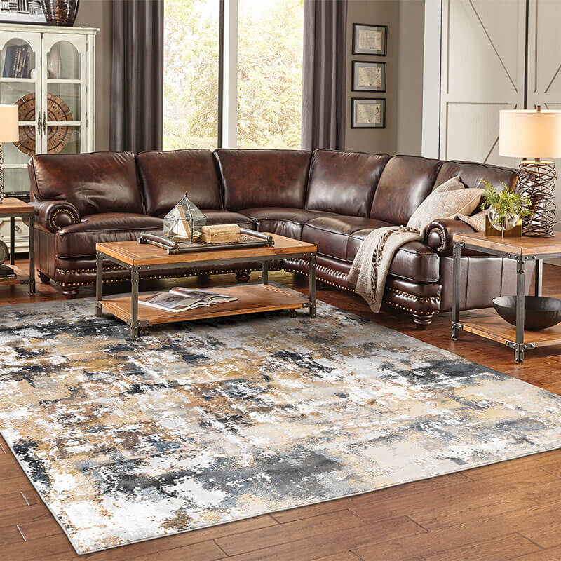 Area rug for living room | Montgomery's CarpetsPlus COLORTILE