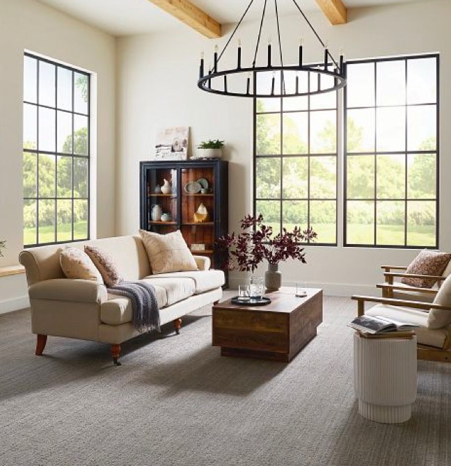 Living room Carpet | Montgomery's CarpetsPlus COLORTILE