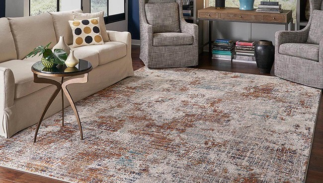 Area Rug for living room | Montgomery's CarpetsPlus COLORTILE