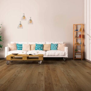 Vinyl flooring for living room | Montgomery's CarpetsPlus COLORTILE