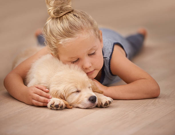 Low Maintenance Flooring | Montgomery's CarpetsPlus COLORTILE