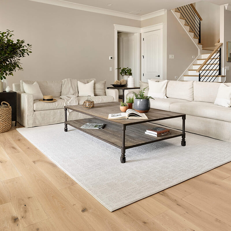 Living Room Area Rug | Montgomery's CarpetsPlus COLORTILE